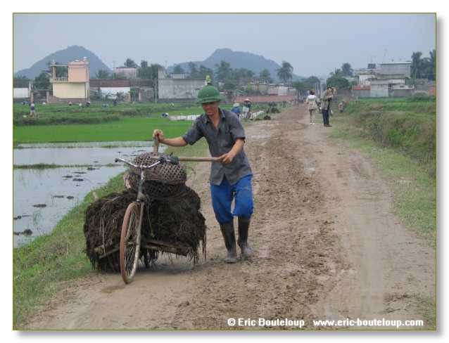 052_Splendeurs_d_Indochine_2005_02_03
