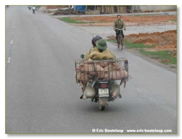 054_Splendeurs_d_Indochine_2005_02_03