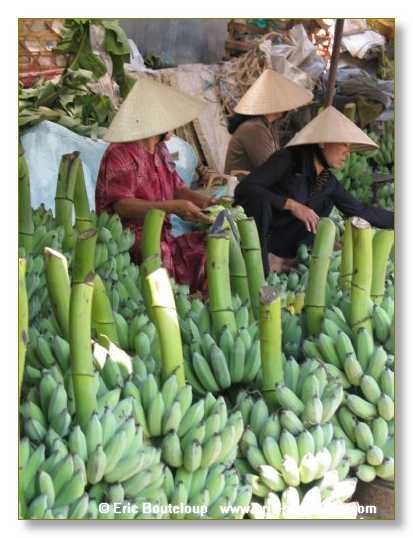 060_Splendeurs_d_Indochine_2005_02_03