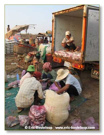 178_Splendeurs_d_Indochine_2005_02_03