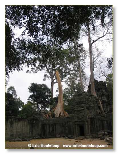 240_Splendeurs_d_Indochine_2005_02_03