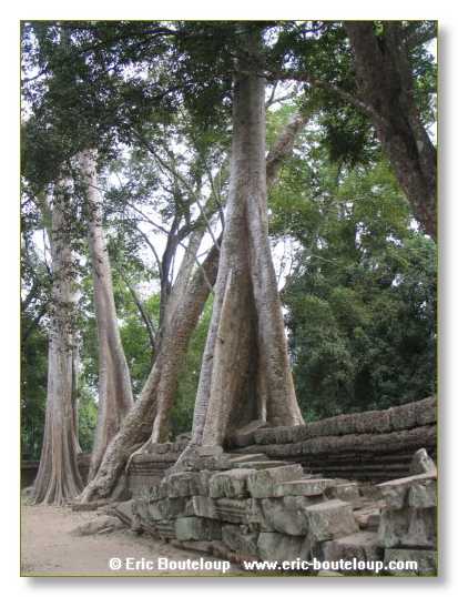 263_Splendeurs_d_Indochine_2005_02_03