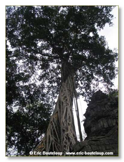 265_Splendeurs_d_Indochine_2005_02_03