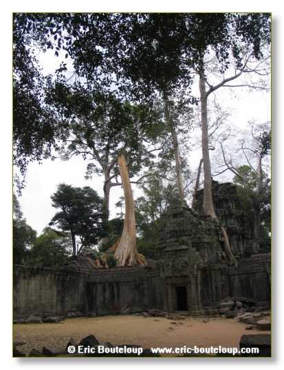 267_Splendeurs_d_Indochine_2005_02_03