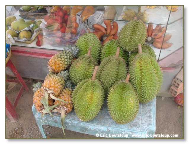 317_Splendeurs_d_Indochine_2005_02_03