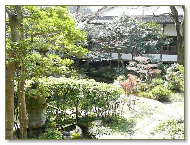 065_JAPON_Kyoto_meditation_Zen_et_Sakura_April_2008
