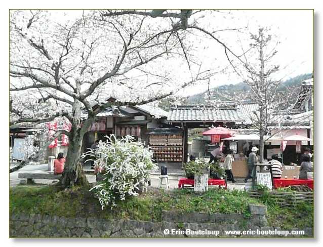 076_JAPON_Kyoto_meditation_Zen_et_Sakura_April_2008
