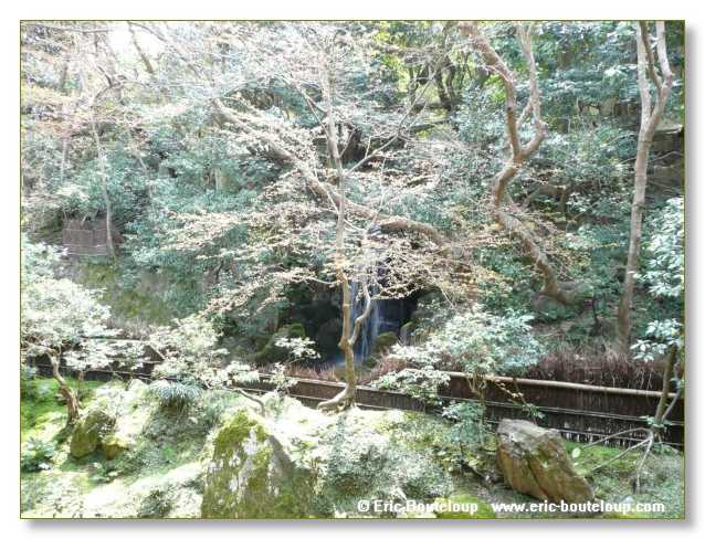 091_JAPON_Kyoto_meditation_Zen_et_Sakura_April_2008