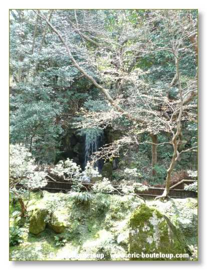 092_JAPON_Kyoto_meditation_Zen_et_Sakura_April_2008