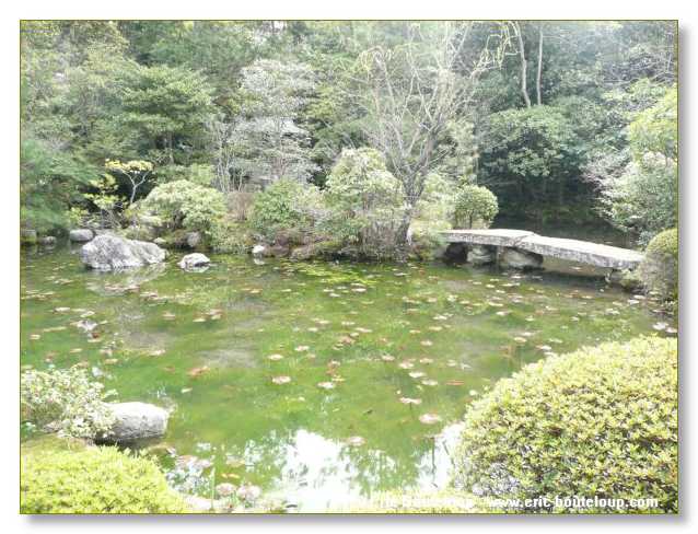 110_JAPON_Kyoto_meditation_Zen_et_Sakura_April_2008