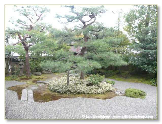 126_JAPON_Kyoto_meditation_Zen_et_Sakura_April_2008