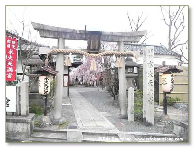 133_JAPON_Kyoto_meditation_Zen_et_Sakura_April_2008