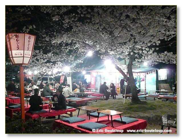 144_JAPON_Kyoto_meditation_Zen_et_Sakura_April_2008