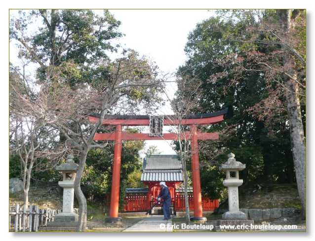 326_JAPON_Kyoto_meditation_Zen_et_Sakura_April_2008