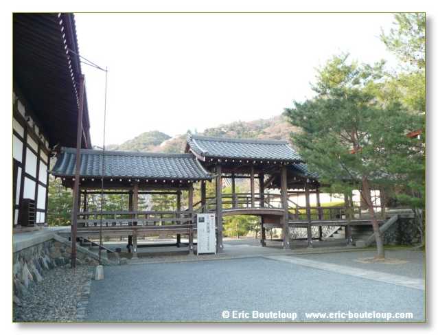 328_JAPON_Kyoto_meditation_Zen_et_Sakura_April_2008