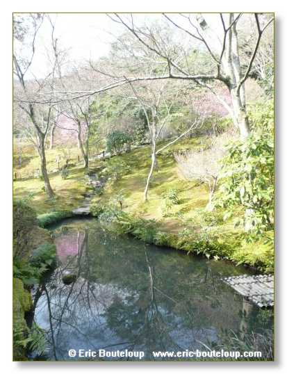 346_JAPON_Kyoto_meditation_Zen_et_Sakura_April_2008