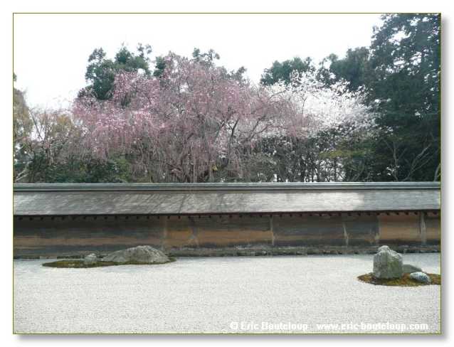 371_JAPON_Kyoto_meditation_Zen_et_Sakura_April_2008