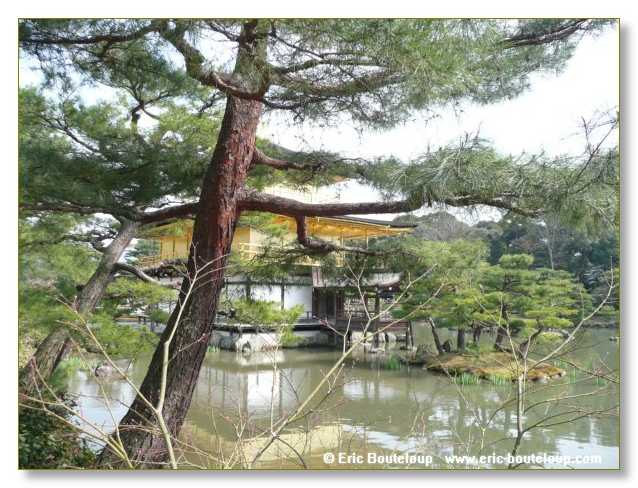 380_JAPON_Kyoto_meditation_Zen_et_Sakura_April_2008