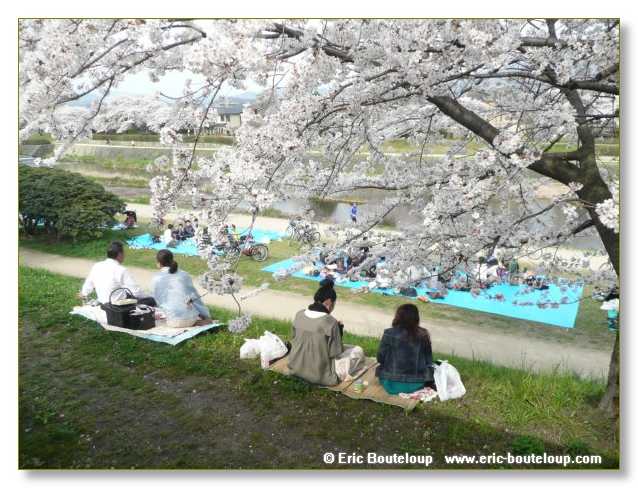 386_JAPON_Kyoto_meditation_Zen_et_Sakura_April_2008