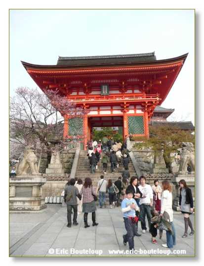 415_JAPON_Kyoto_meditation_Zen_et_Sakura_April_2008