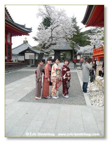 420_JAPON_Kyoto_meditation_Zen_et_Sakura_April_2008