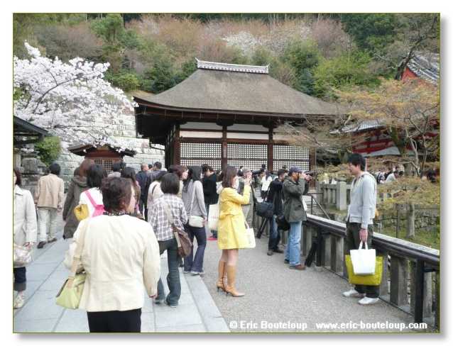 429_JAPON_Kyoto_meditation_Zen_et_Sakura_April_2008
