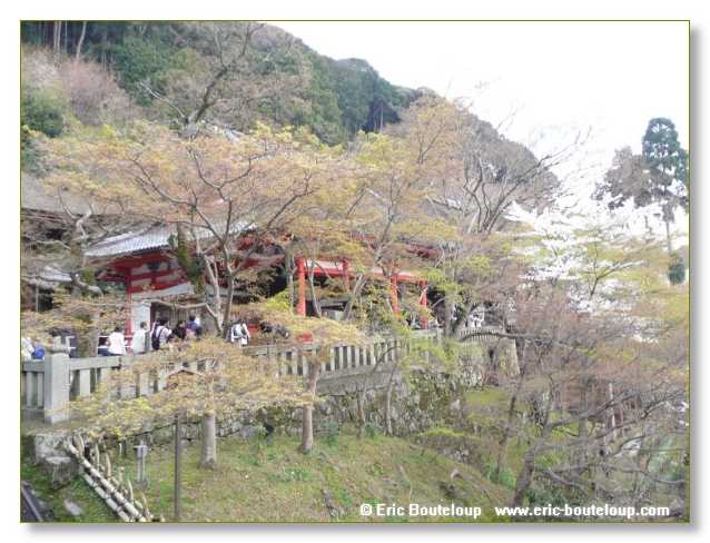 430_JAPON_Kyoto_meditation_Zen_et_Sakura_April_2008