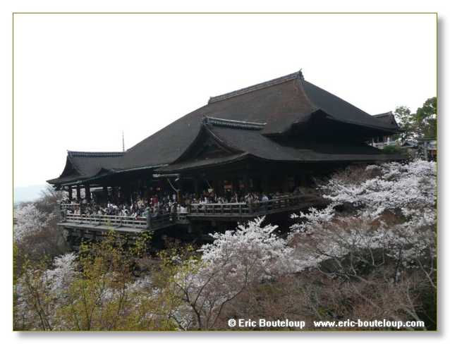 434_JAPON_Kyoto_meditation_Zen_et_Sakura_April_2008