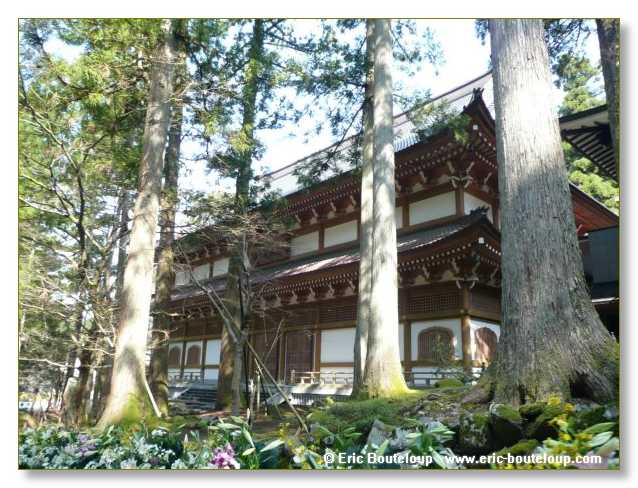 483_JAPON_Kyoto_meditation_Zen_et_Sakura_April_2008