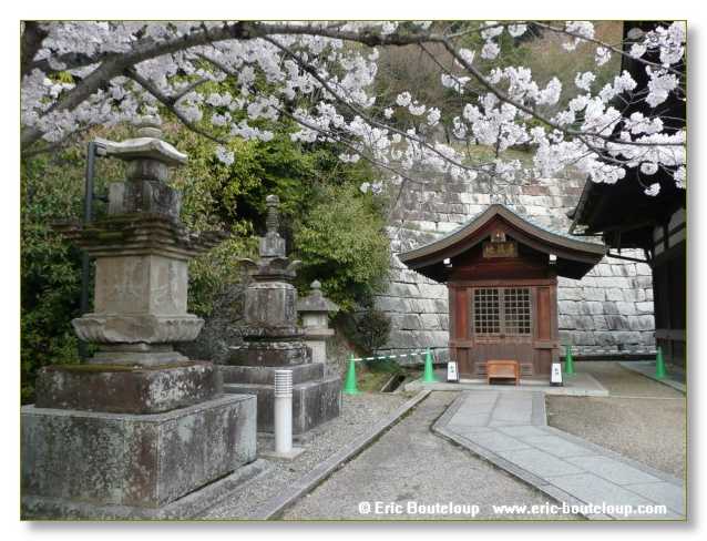 491_JAPON_Kyoto_meditation_Zen_et_Sakura_April_2008