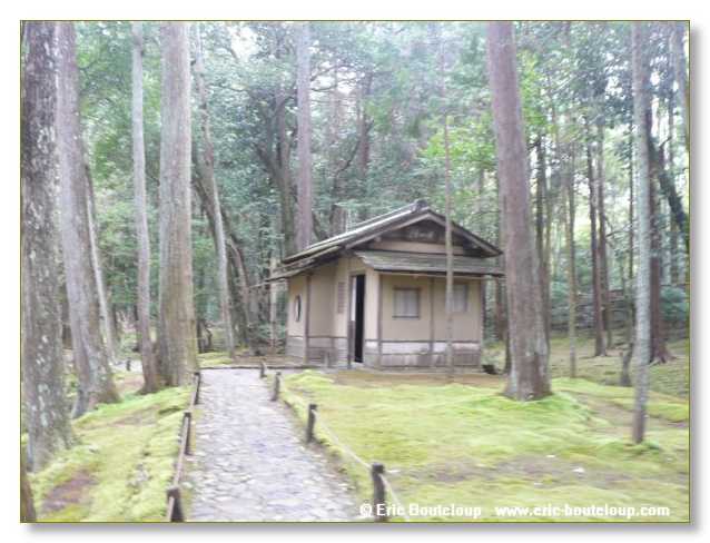 513_JAPON_Kyoto_meditation_Zen_et_Sakura_April_2008