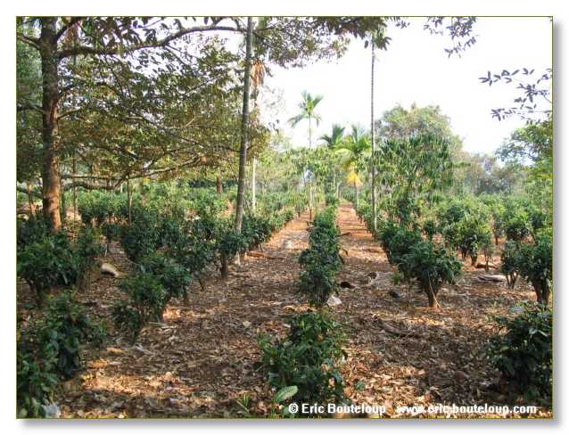 015_MEKONG_Secrets_du_Mekong