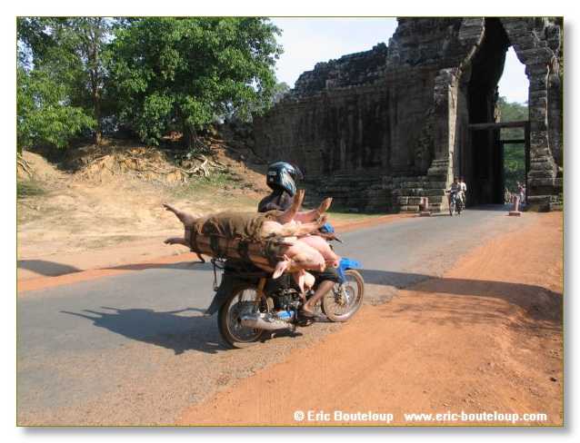 022_MEKONG_Secrets_du_Mekong