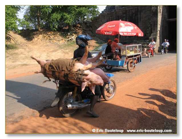 023_MEKONG_Secrets_du_Mekong