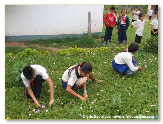 113_MEKONG_Secrets_du_Mekong