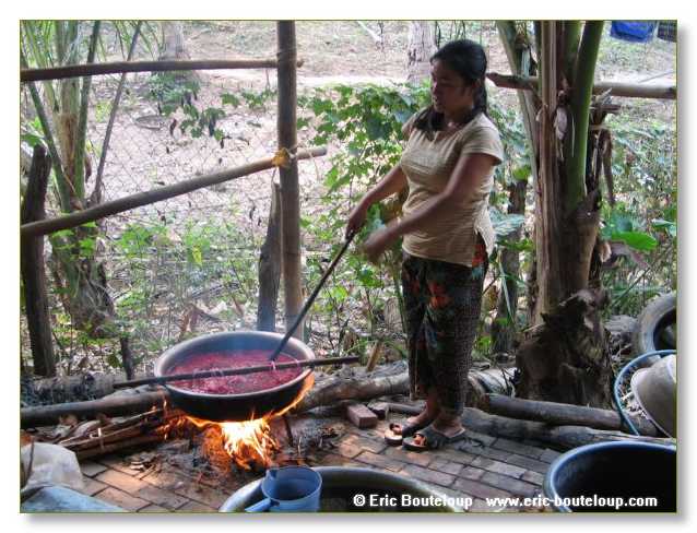 136_MEKONG_Secrets_du_Mekong