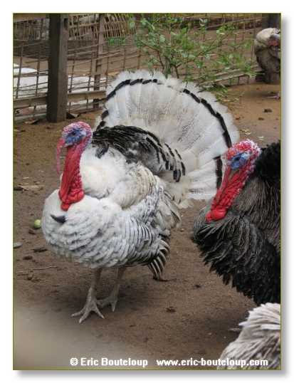 168_MEKONG_Secrets_du_Mekong