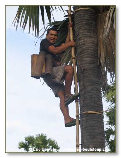 278_MEKONG_Secrets_du_Mekong