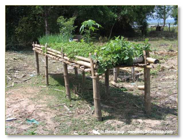 285_MEKONG_Secrets_du_Mekong