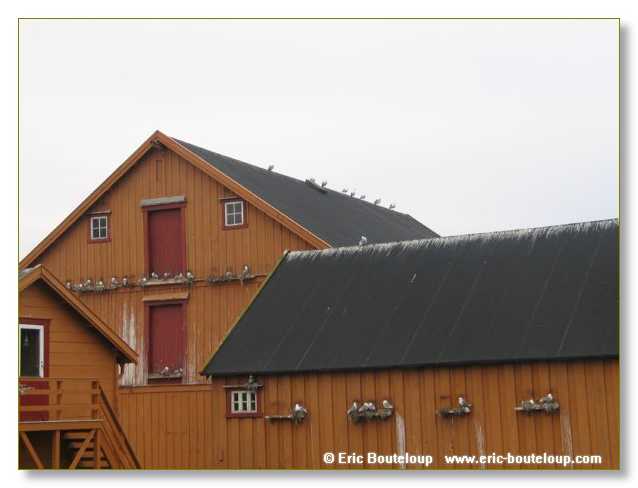 188_NORVEGE_2006_Express_cotier