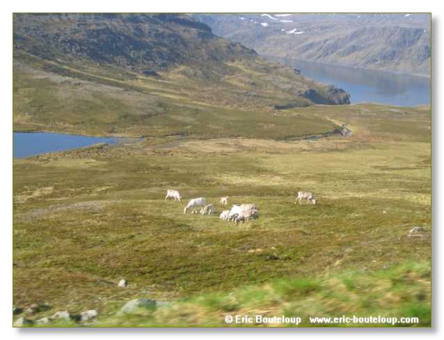 206_NORVEGE_2006_Express_cotier