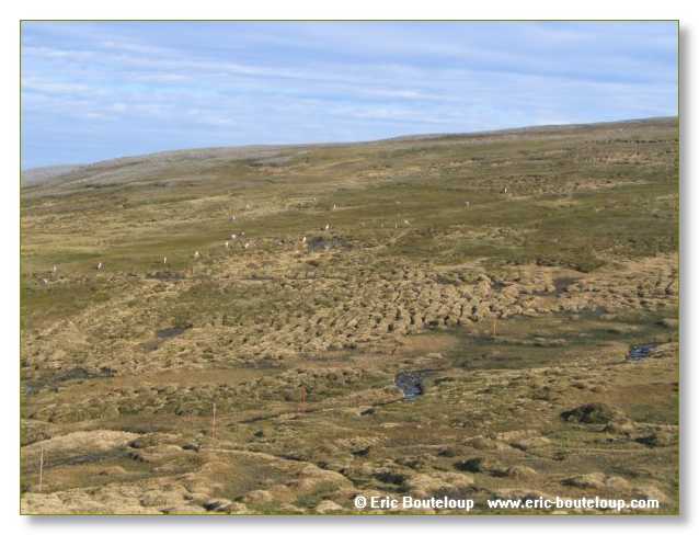 208_NORVEGE_2006_Express_cotier