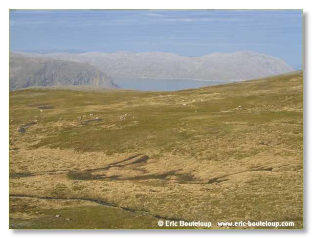 210_NORVEGE_2006_Express_cotier