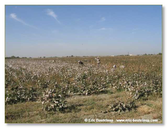 453_OUZBEKISTAN_2004_Boukhara