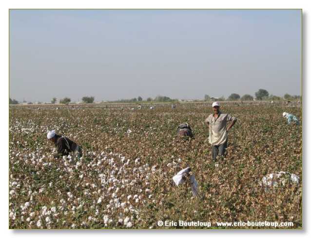 455_OUZBEKISTAN_2004_Boukhara