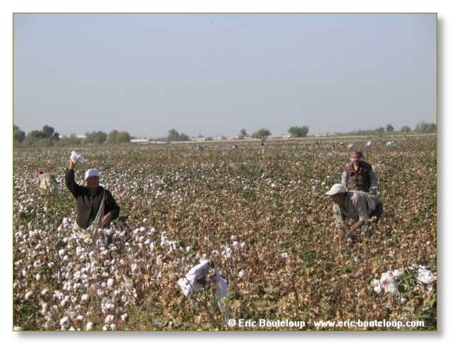 456_OUZBEKISTAN_2004_Boukhara