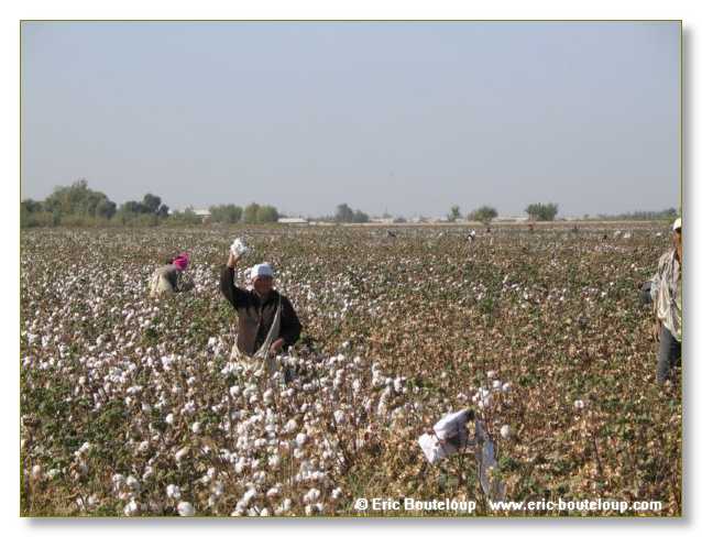 457_OUZBEKISTAN_2004_Boukhara