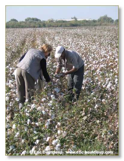 459_OUZBEKISTAN_2004_Boukhara