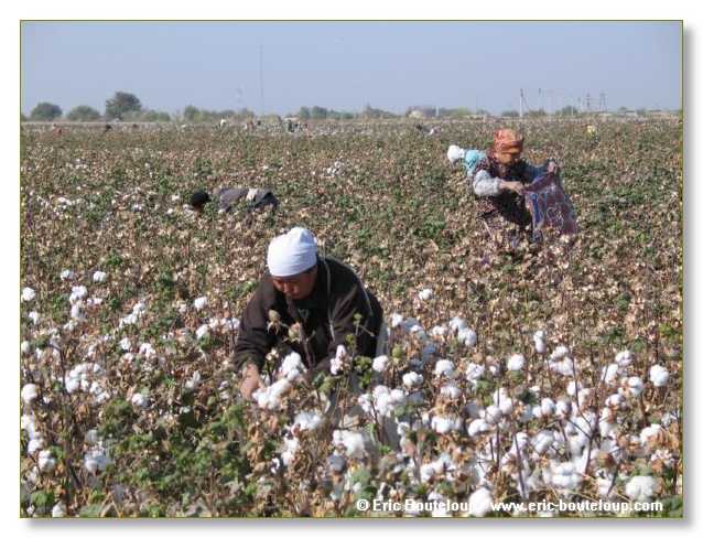 460_OUZBEKISTAN_2004_Boukhara