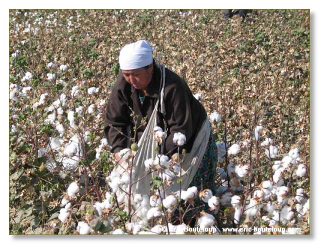 461_OUZBEKISTAN_2004_Boukhara